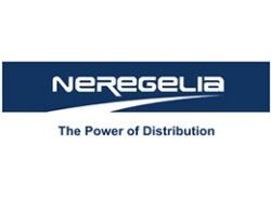 Neregelia